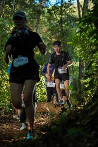 BIB: 1252, 1250, 
                            <button type="button" onclick="openModal(19231378)" class="btn btn-primary btn-sm float-right btn-popup" data-toggle="modal" data-target=".modal-high-quality">
                        <i class="fas fa-shopping-cart"></i> Add to Cart
                    </button>
                                            <button type="button" onclick="isThisMe(19231378, true)" class="btn btn-success btn-sm float-right btn-popup btn-isme hidden" data-toggle="tooltip" data-placement="bottom" title="นี่คือรูปของคุณใช่ไหม คลิกที่นี่เพื่อเอาเข้าอัลบั้ม">
                        <i class="fas fa-plus"></i> Add to album
                    </button>
                    <button type="button" onclick="isThisMe(19231378, false)" class="btn btn-warning btn-sm float-right btn-popup btn-isnotme hidden">
                        <i class="fas fa-ban"></i> Remove from album
                    </button>